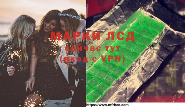 спиды Богородицк