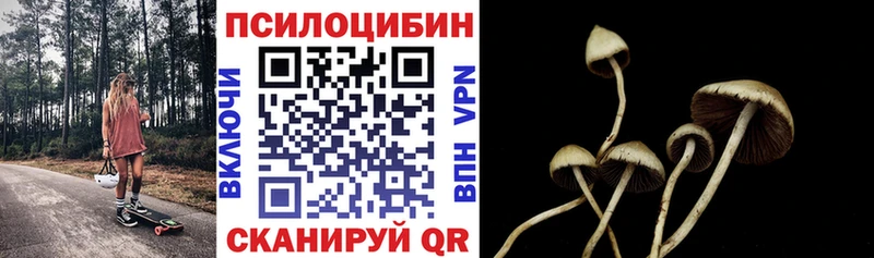 darknet Telegram  кракен tor  Новохопёрск  Псилоцибиновые грибы Magic Shrooms 